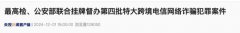 最高检、公安部联合挂牌督办！